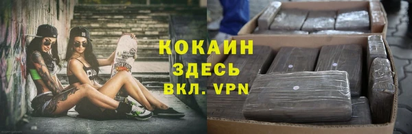 стафф Белокуриха
