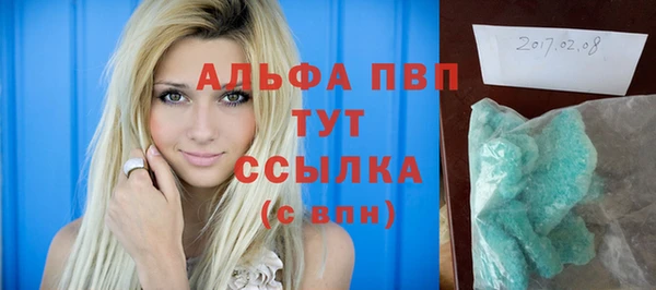 гашиш Богданович