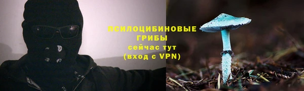 стафф Белокуриха