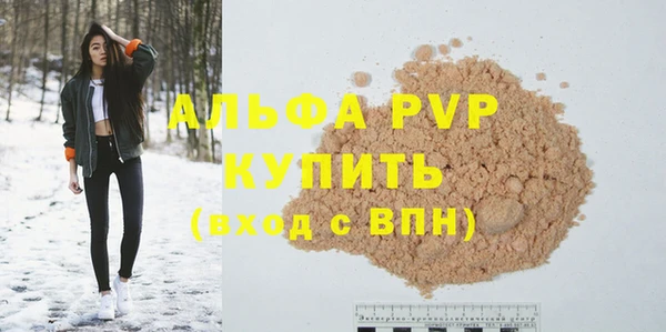 ECSTASY Богородицк