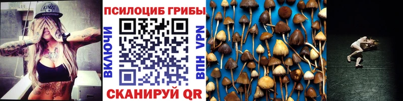 закладка  Надым  Псилоцибиновые грибы мухоморы 